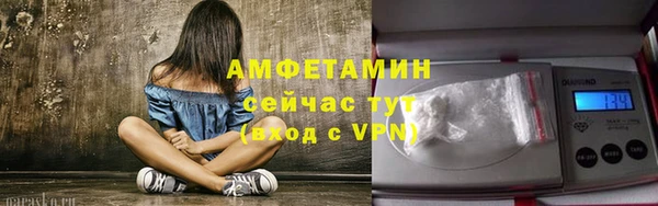 ешки Алексин